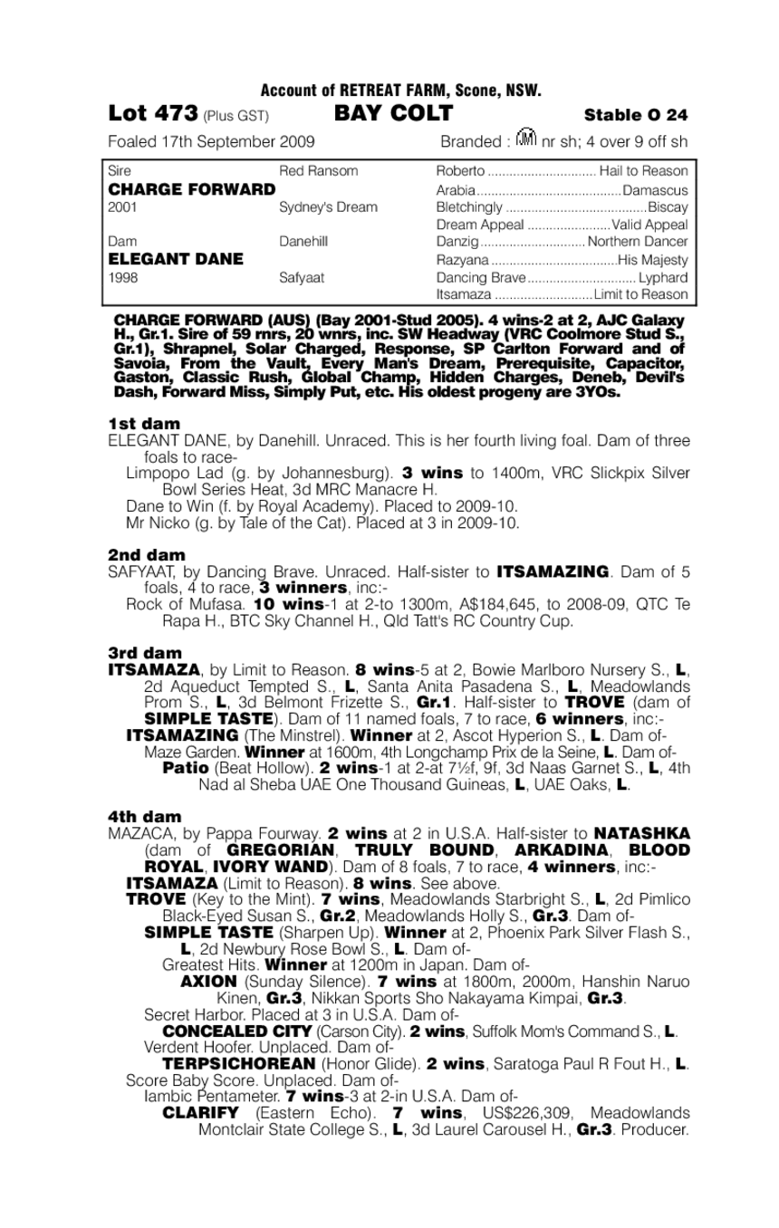 Zenergy (AUS) - pedigree