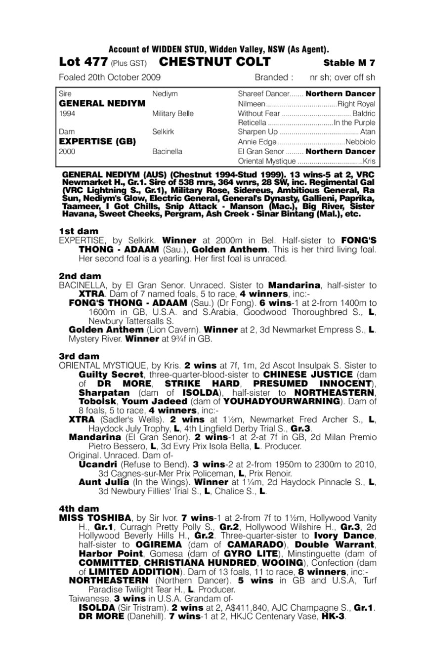 Sunday Expert - pedigree