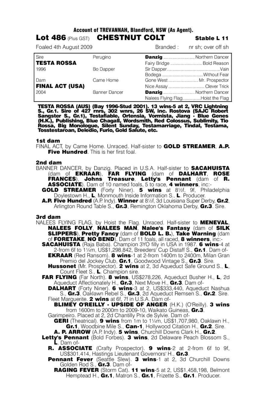 The Plank - pedigree