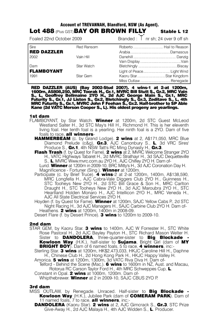 Dazzling Spirit - pedigree