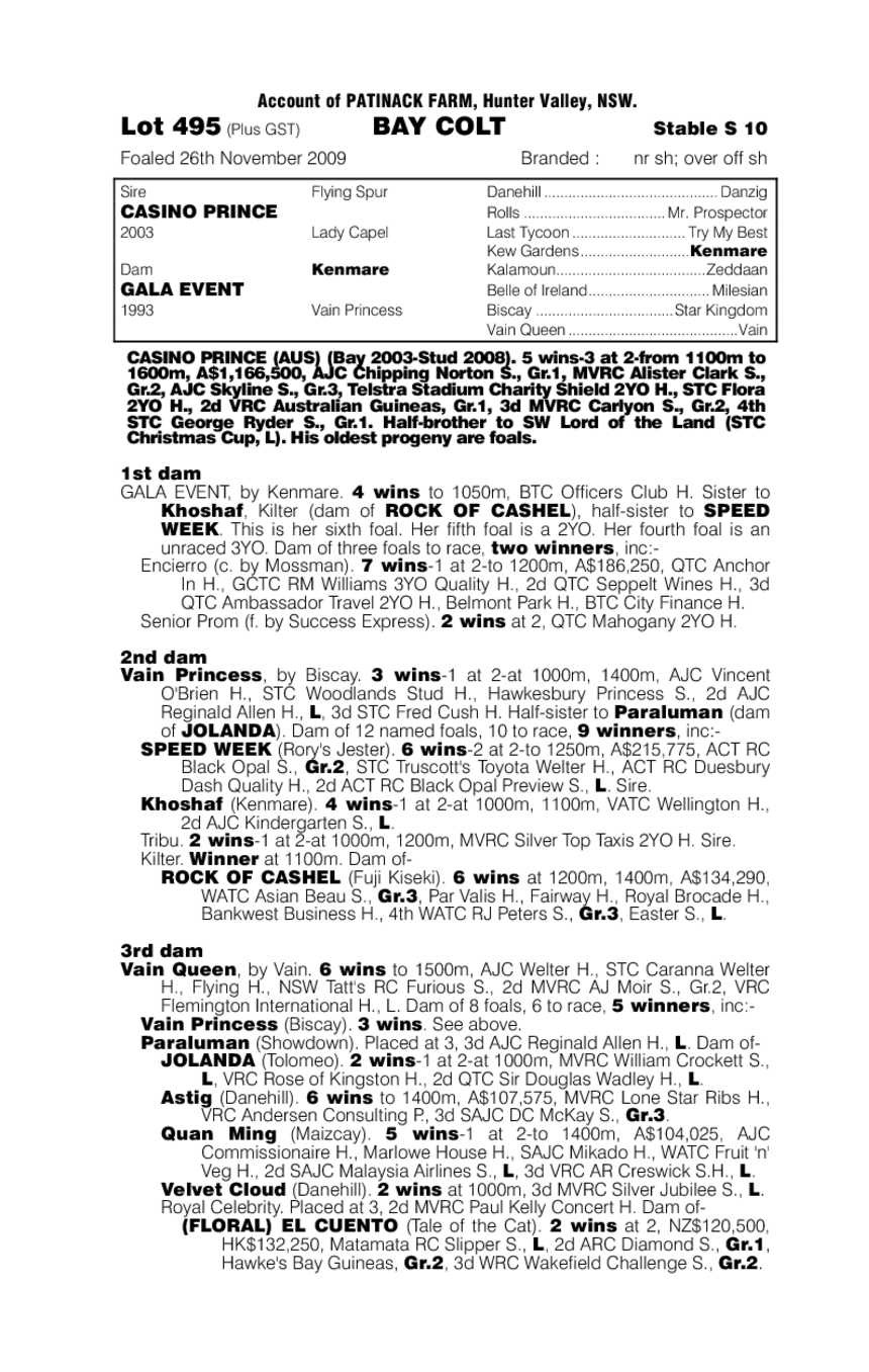 Marina Sands - pedigree