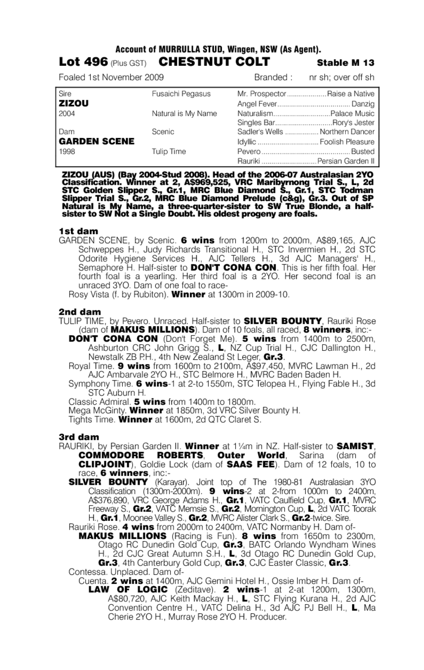 Zizonic Boom - pedigree