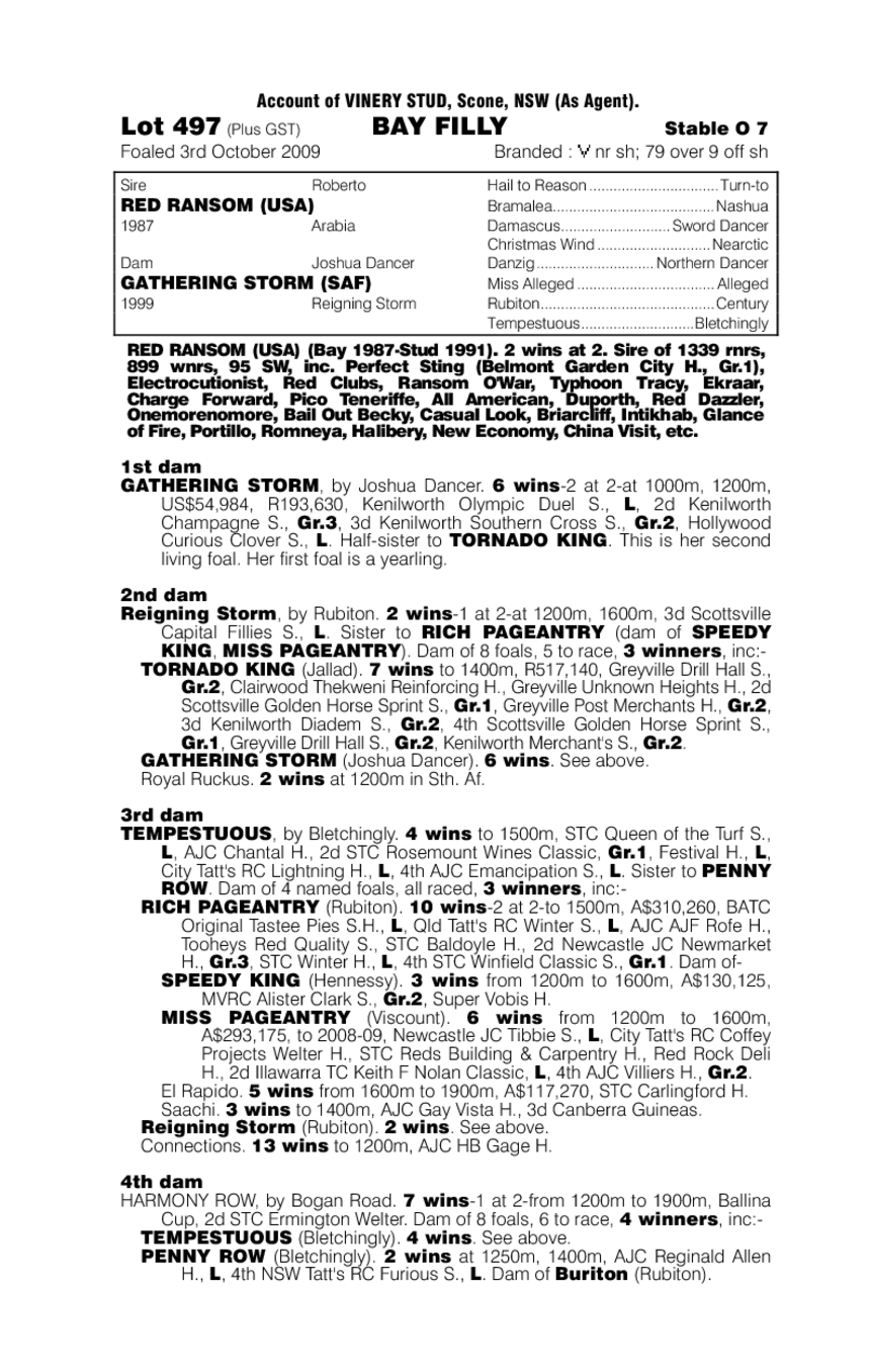 Durbanite - pedigree