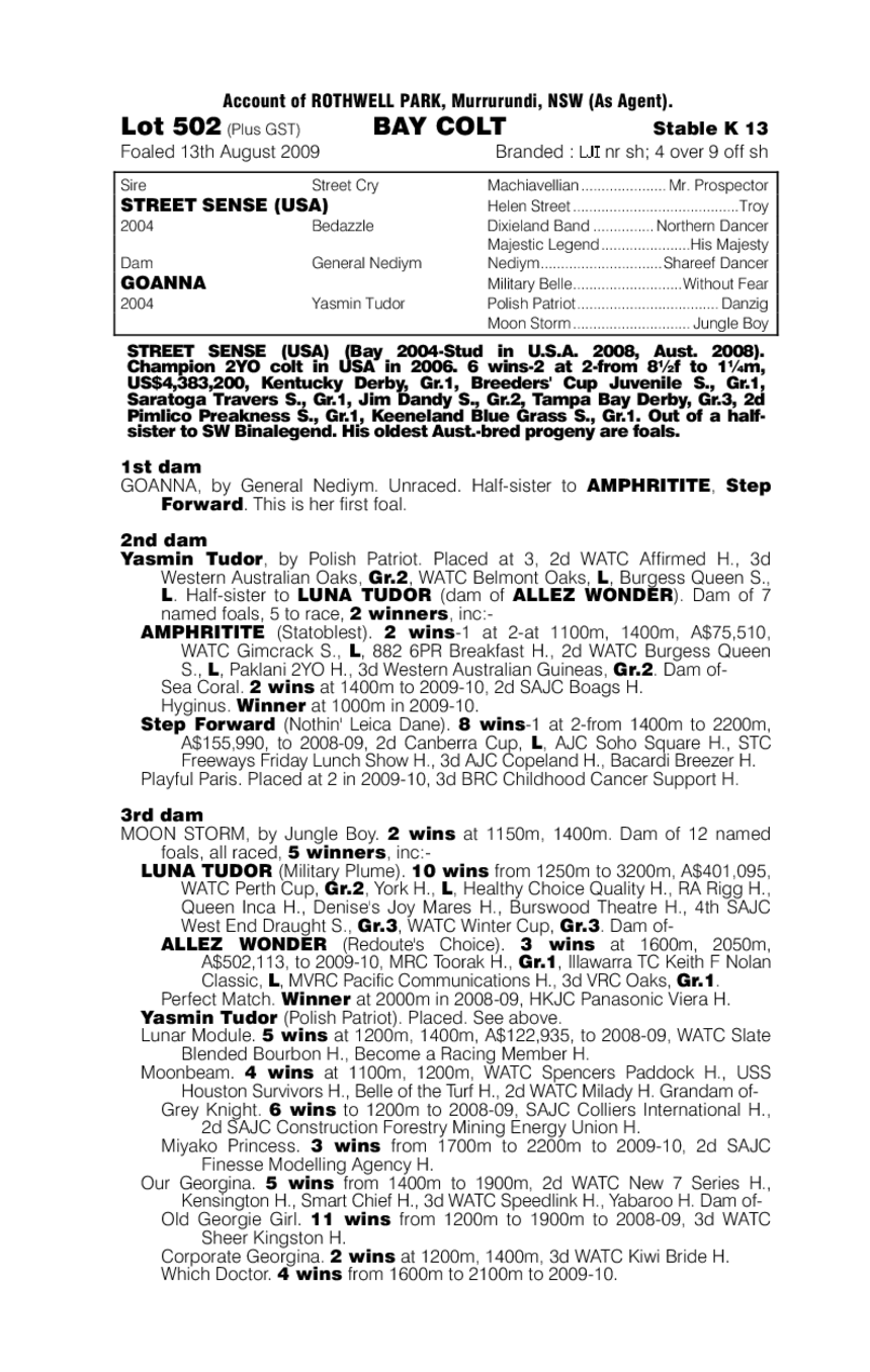 Street Assassin - pedigree