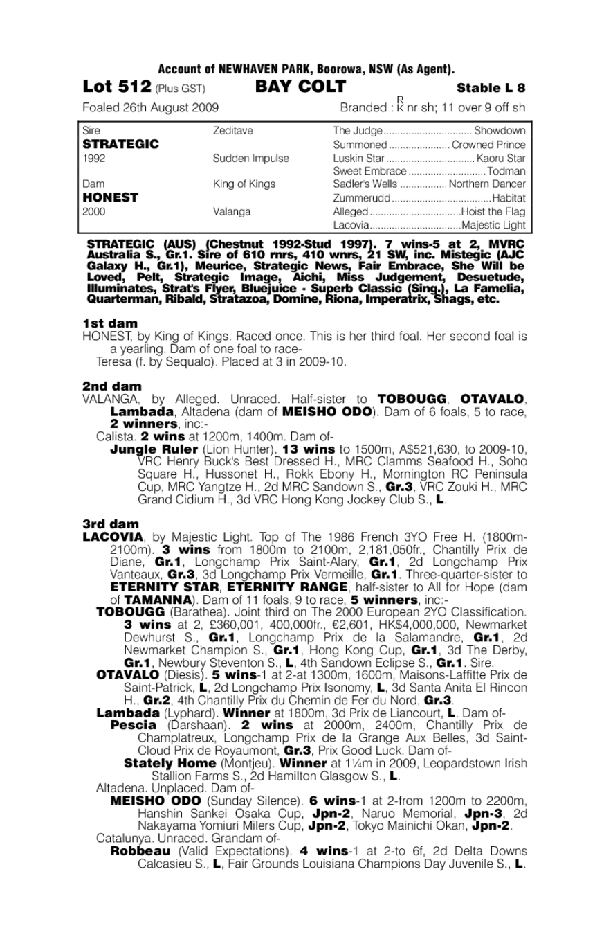 Rolling Zone - pedigree