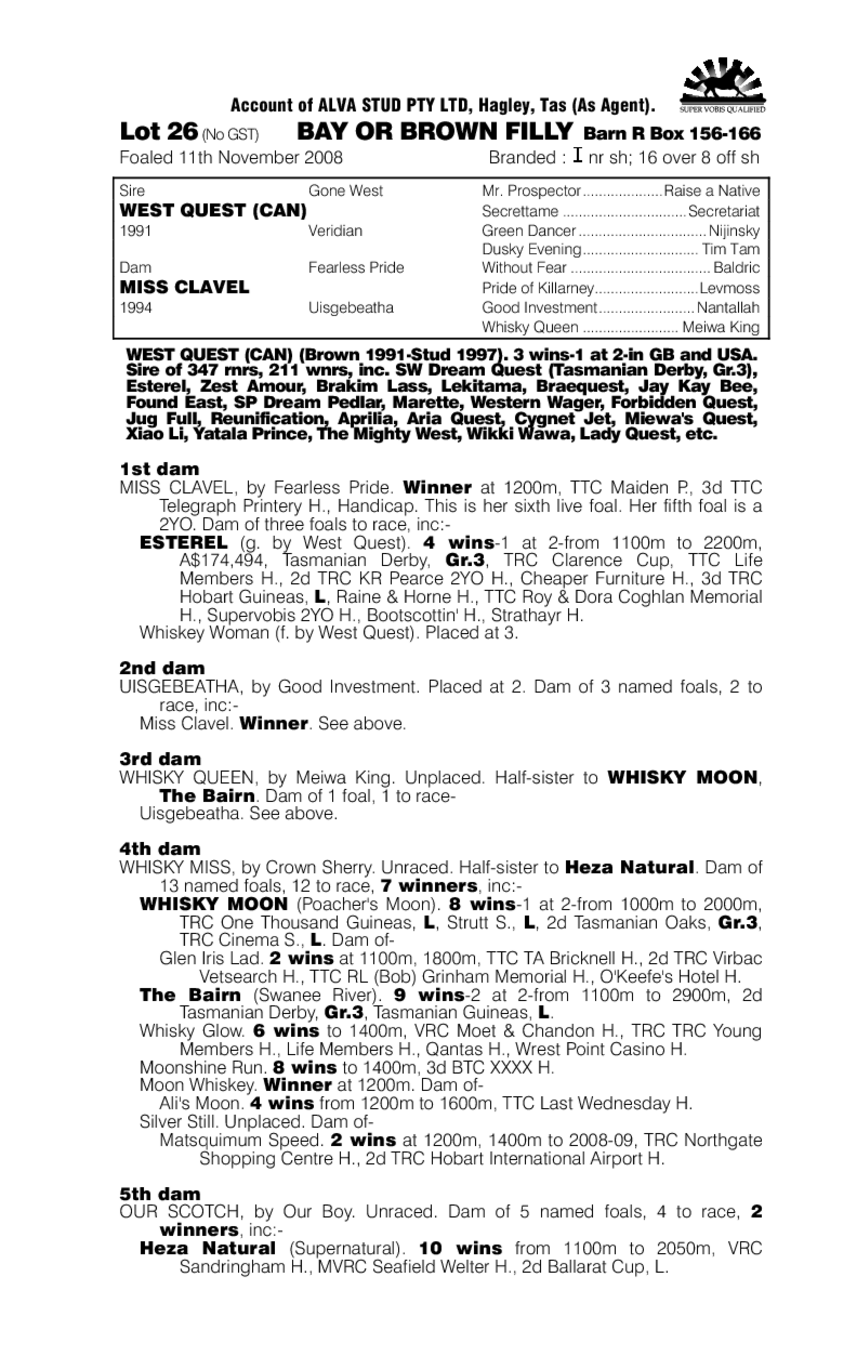 Satin 'N' Rose - pedigree