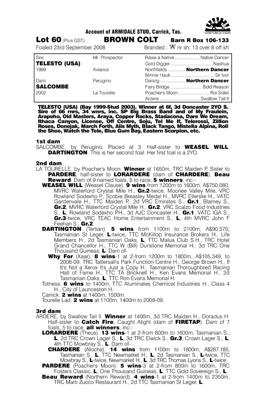 Telesto (USA) / Salcombe (AUS) - pedigree