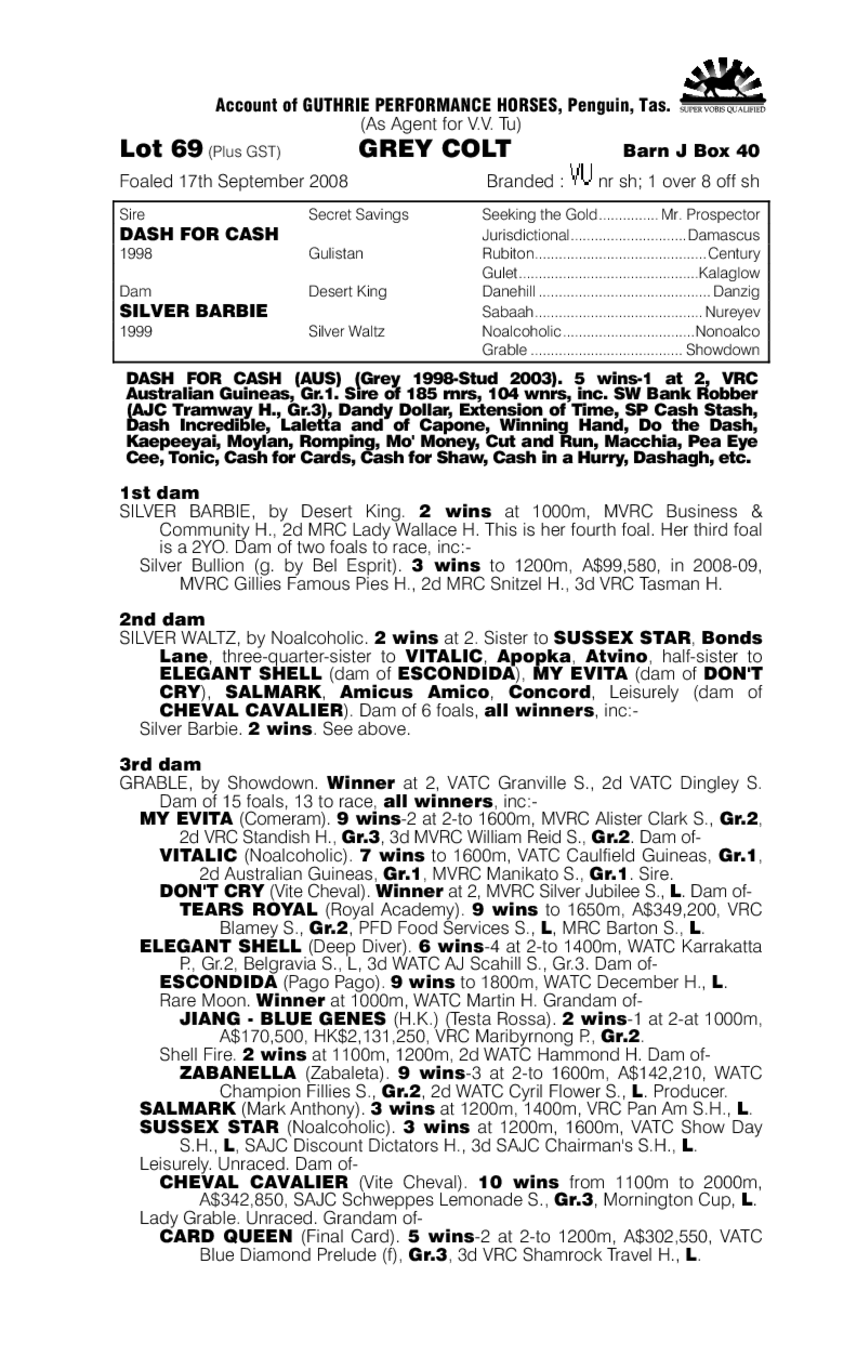 Gee Gees Cashcard - pedigree