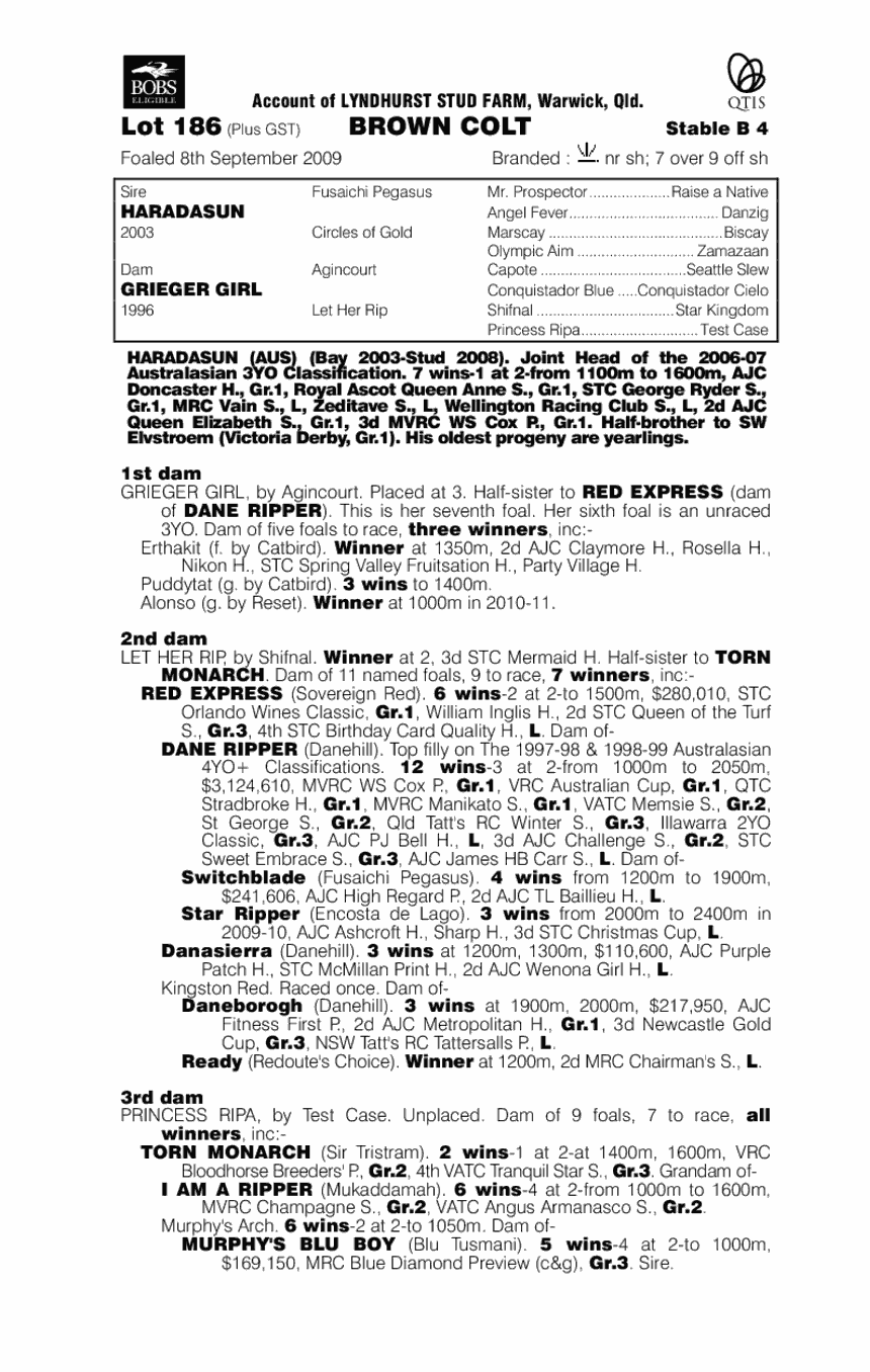 Ghost Magic - pedigree