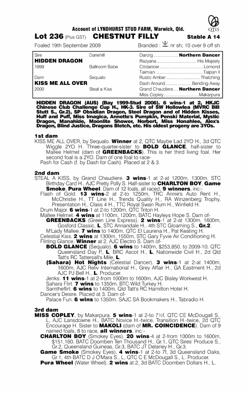 Kiss My Dragon - pedigree