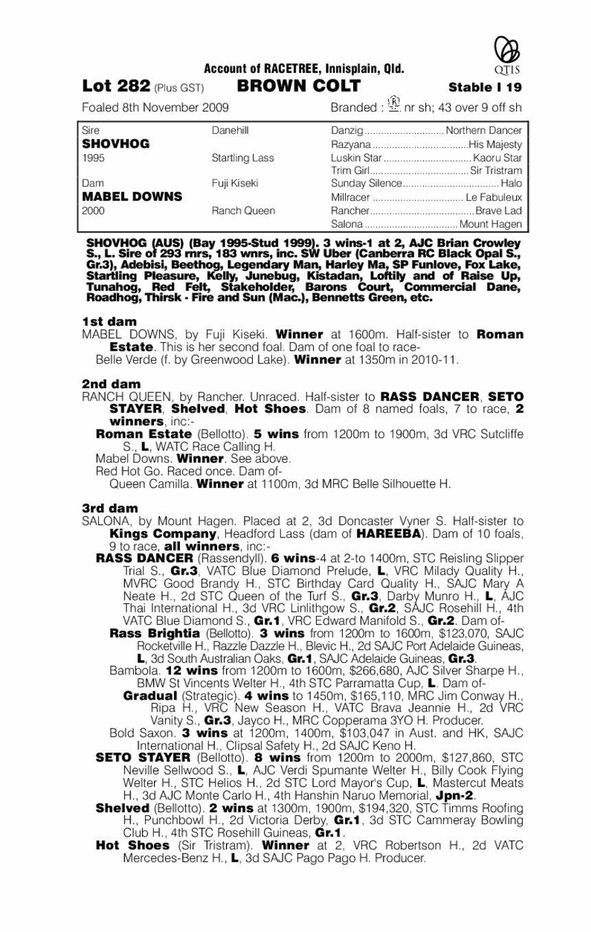 I Scream Now - pedigree