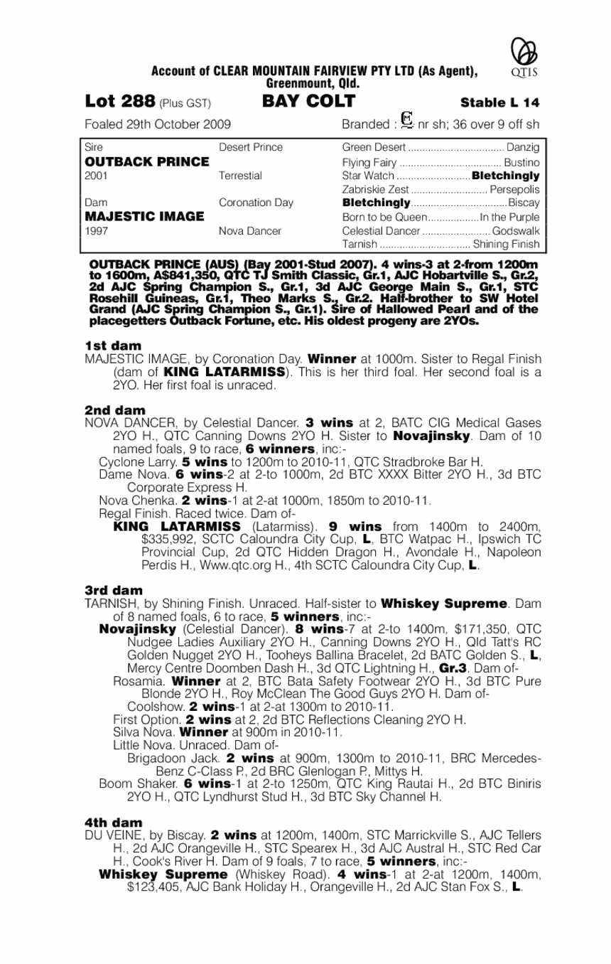 Out Of Control (AUS) - pedigree