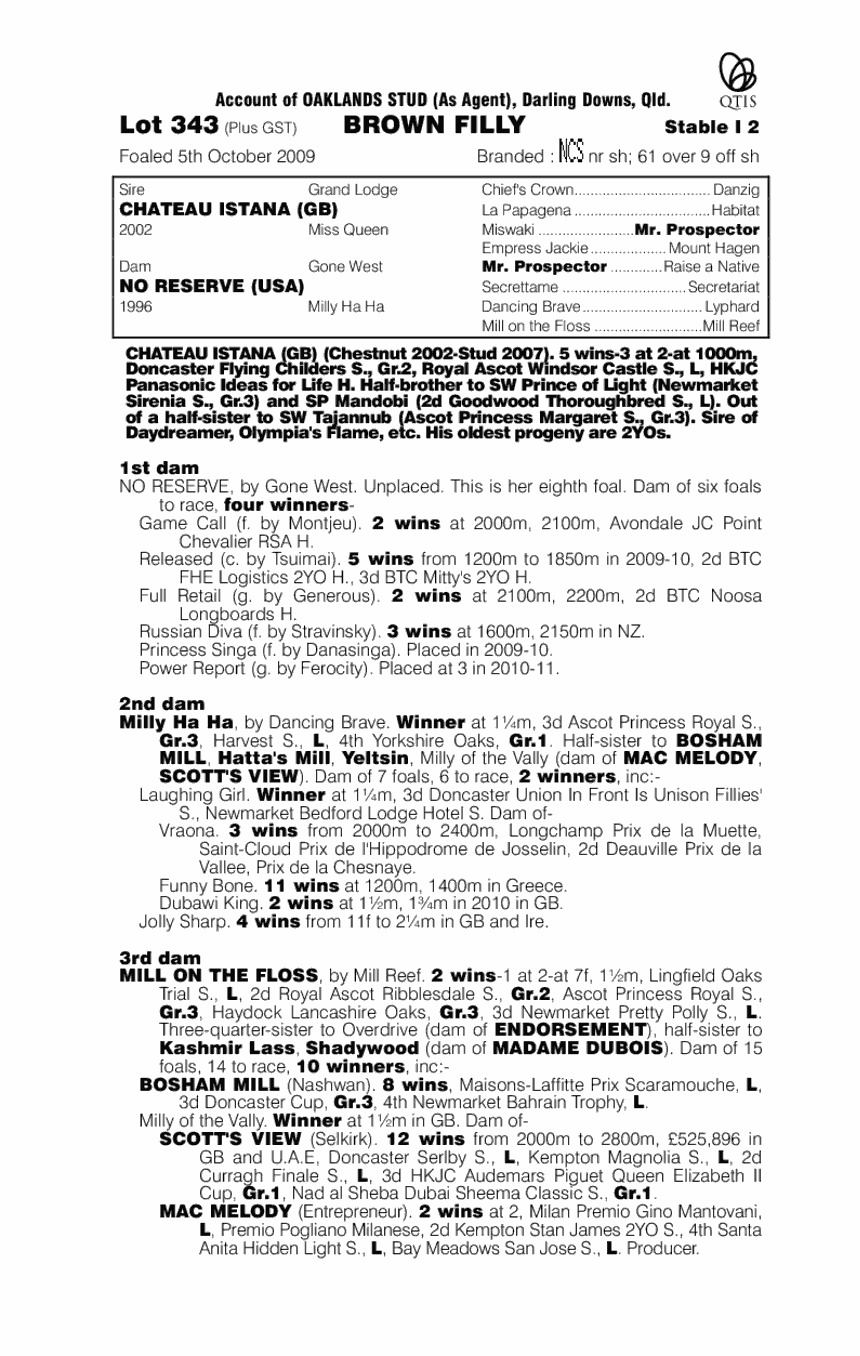 Vacant Girl - pedigree