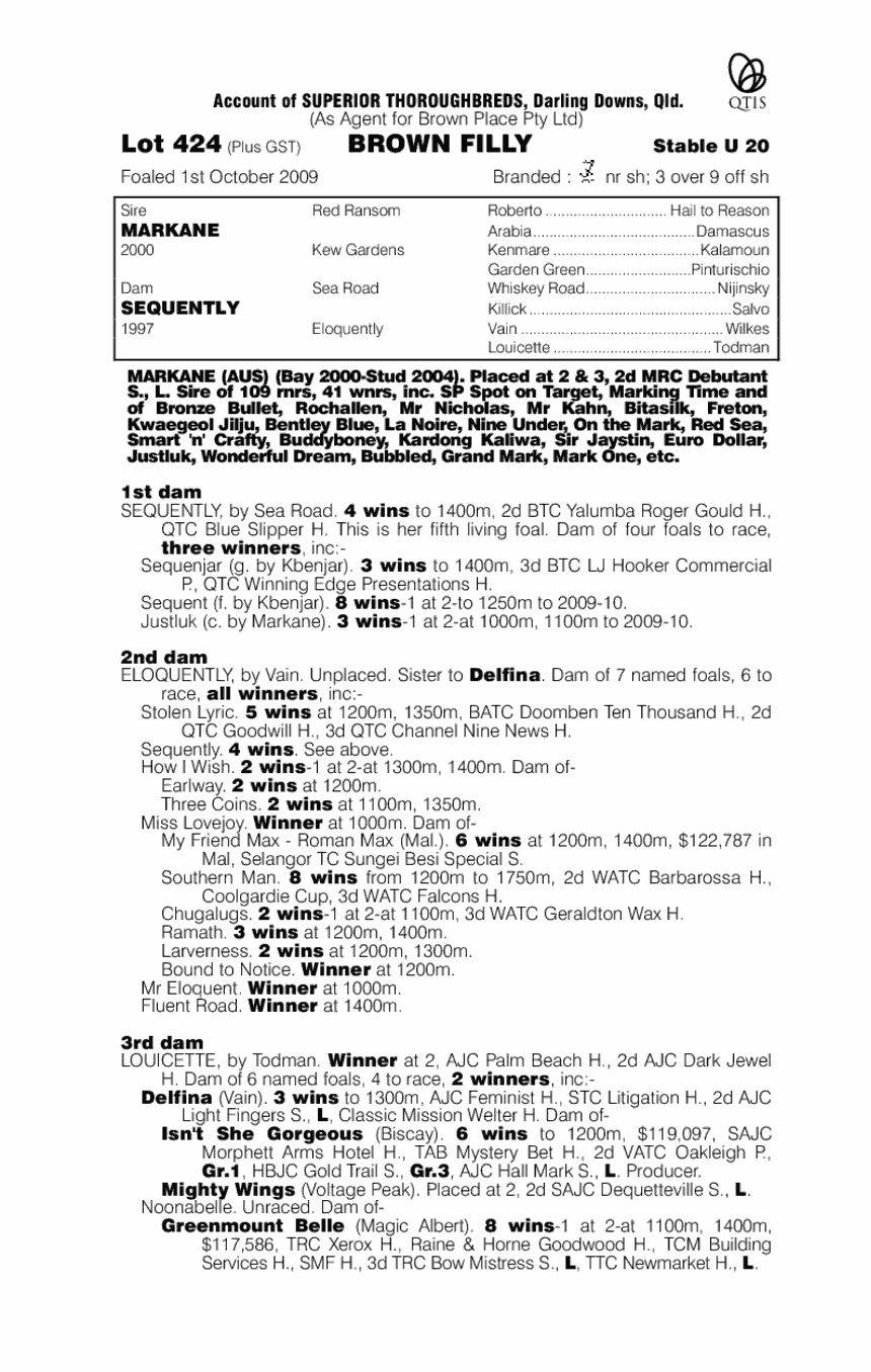 My Lega Ci - pedigree