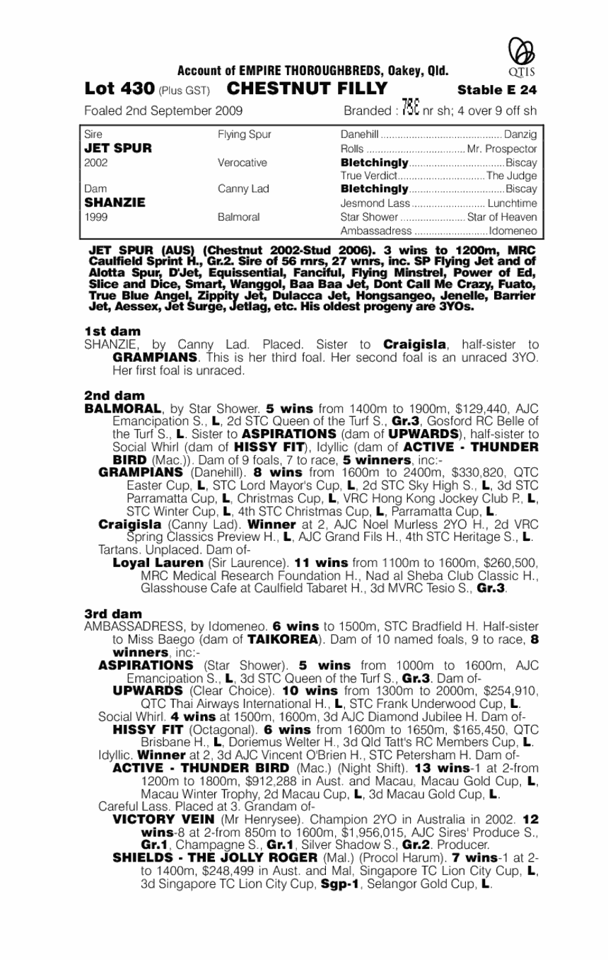 Jays Debut - pedigree