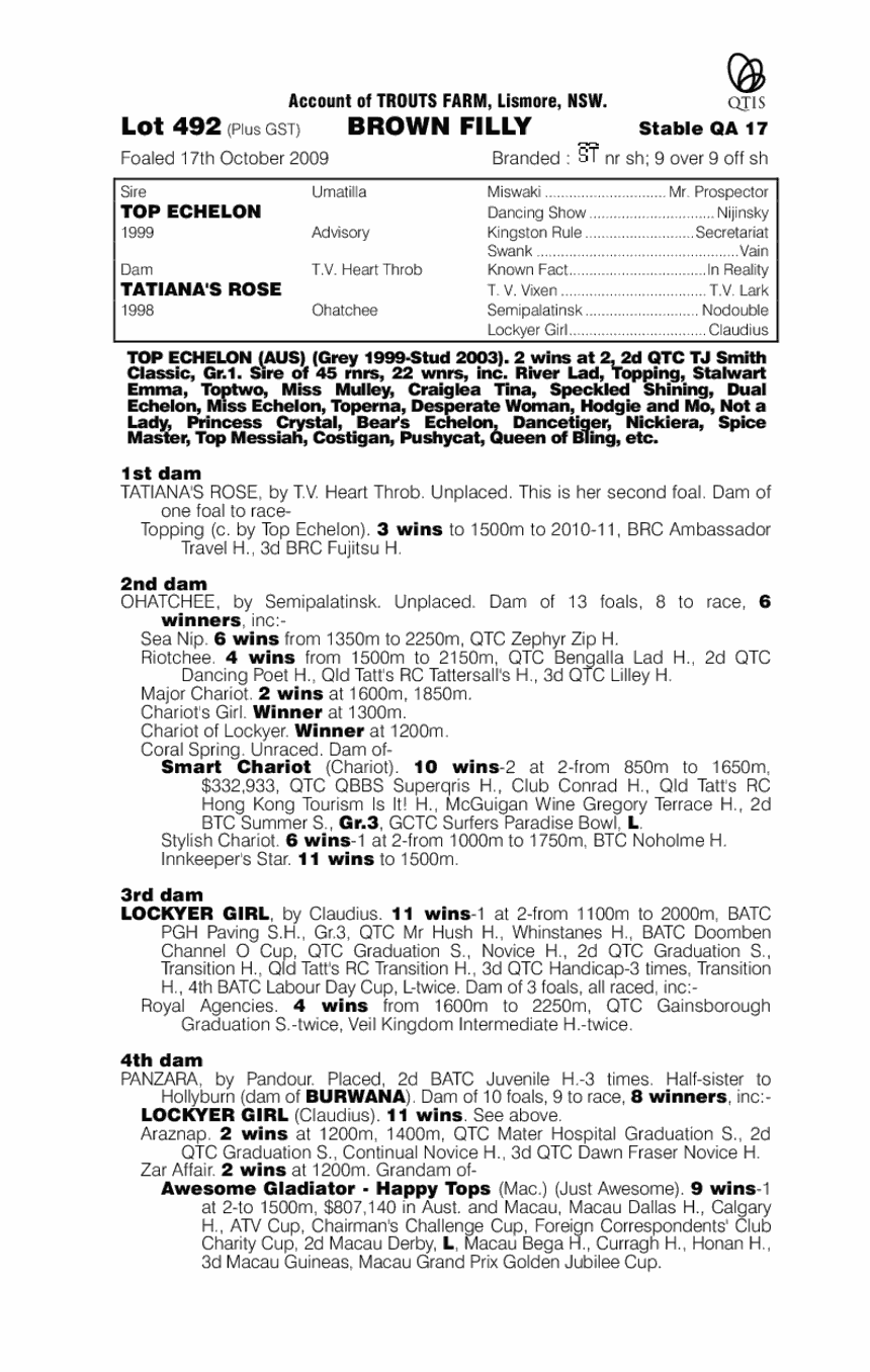 Black Olive (AUS) - pedigree