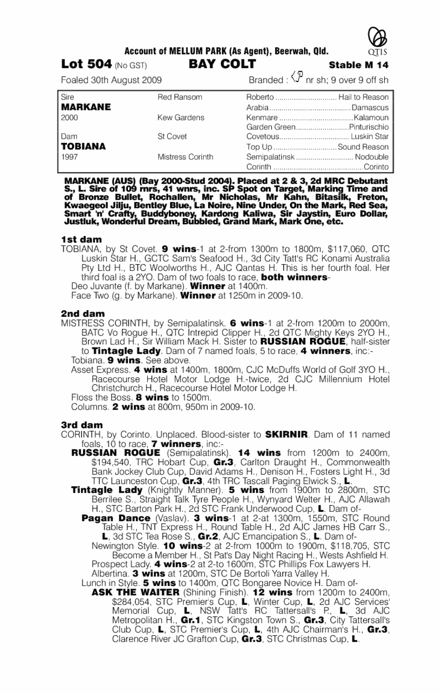 Laser Kid - pedigree