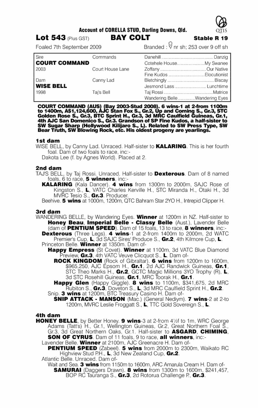 Wise Commander - pedigree