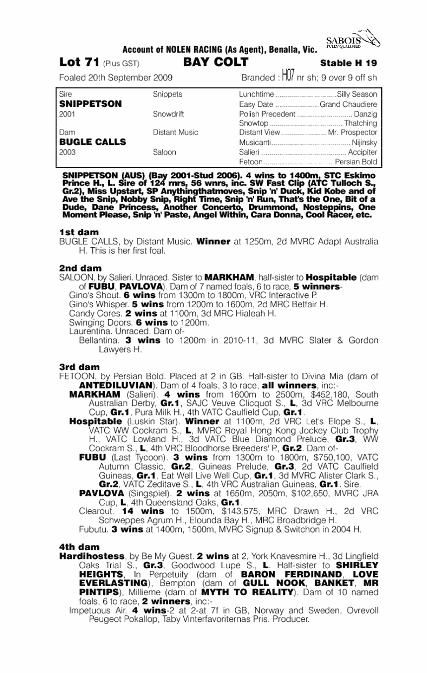 Salute To Heaven (AUS) - pedigree