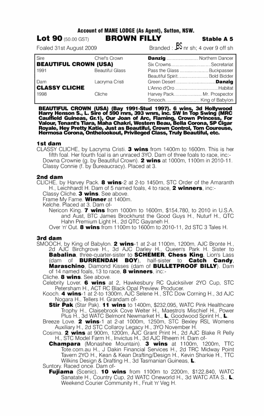 Beautiful Cliche - pedigree