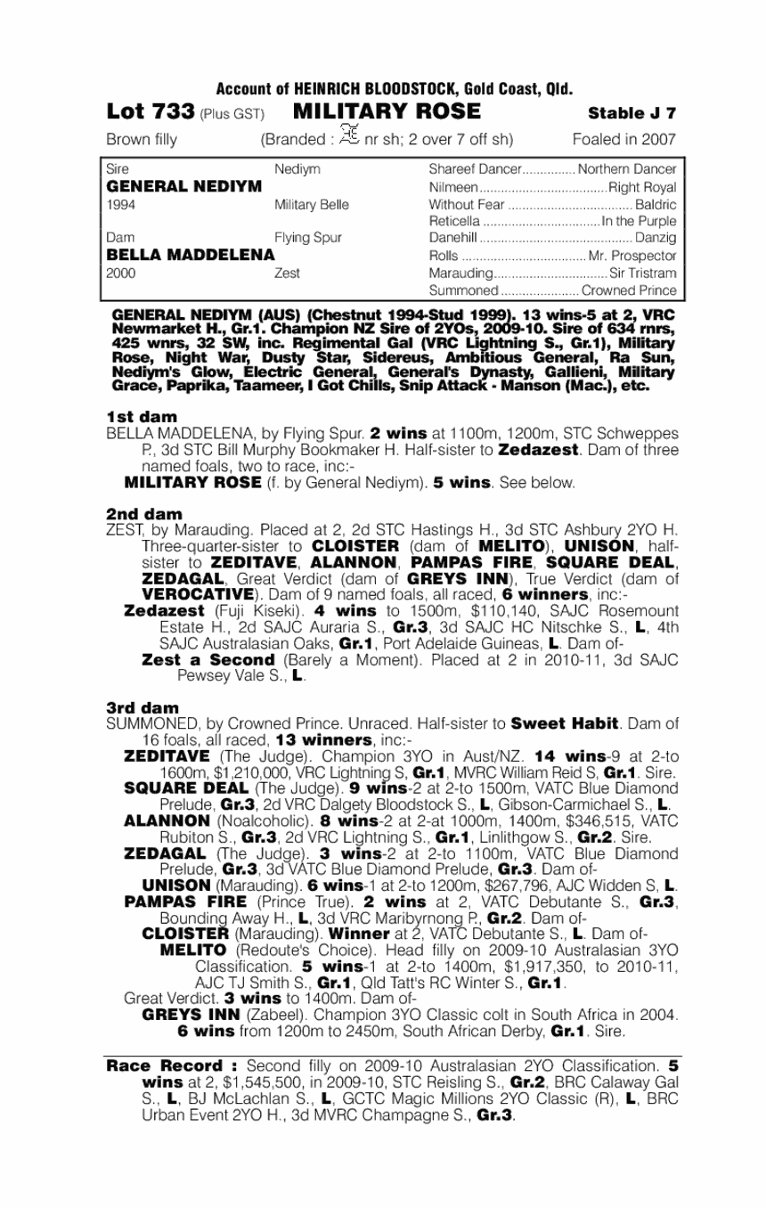 Military Rose - pedigree