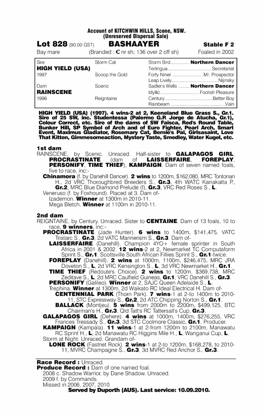 Bashaayer - pedigree