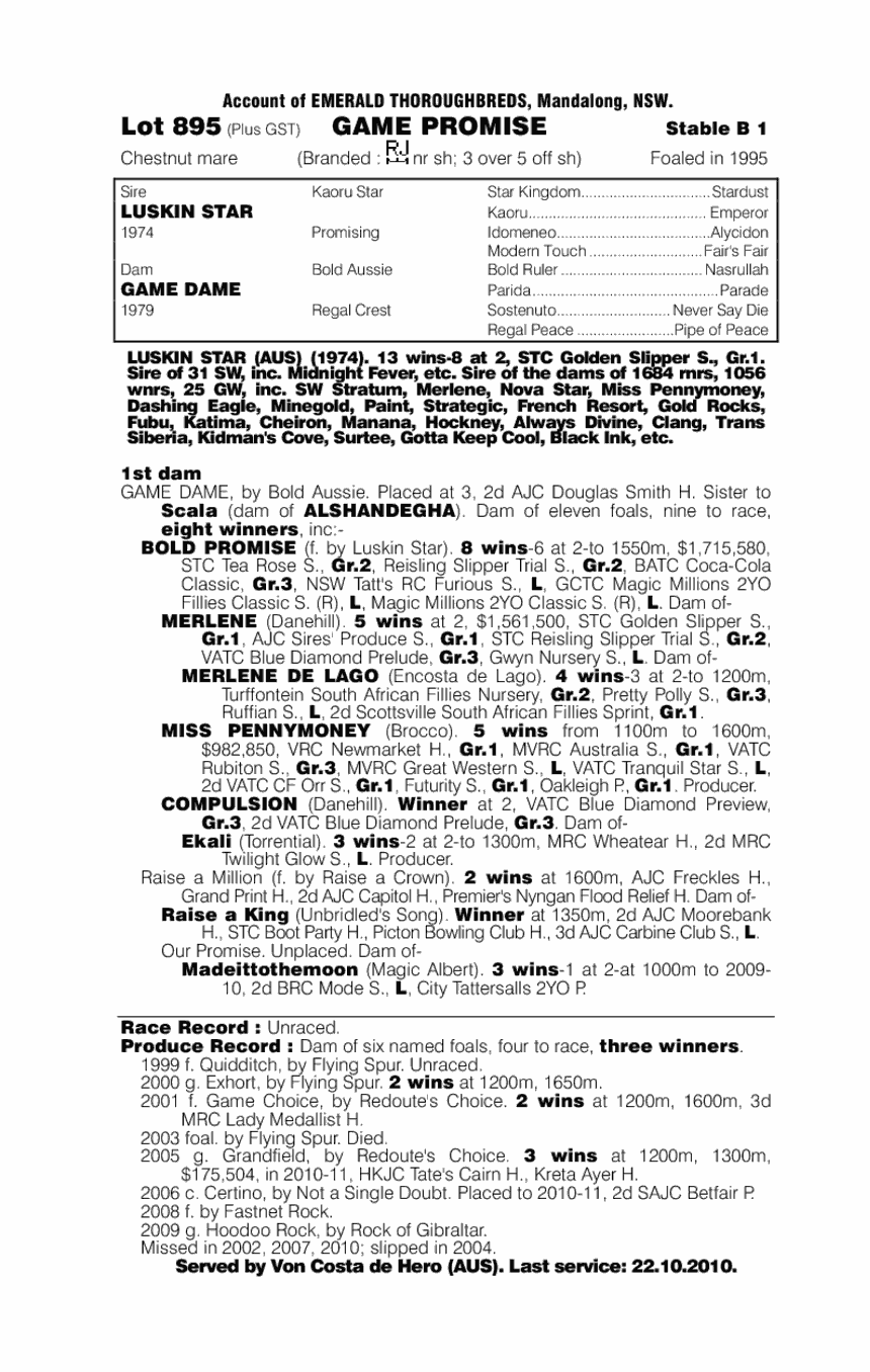 Game Promise - pedigree