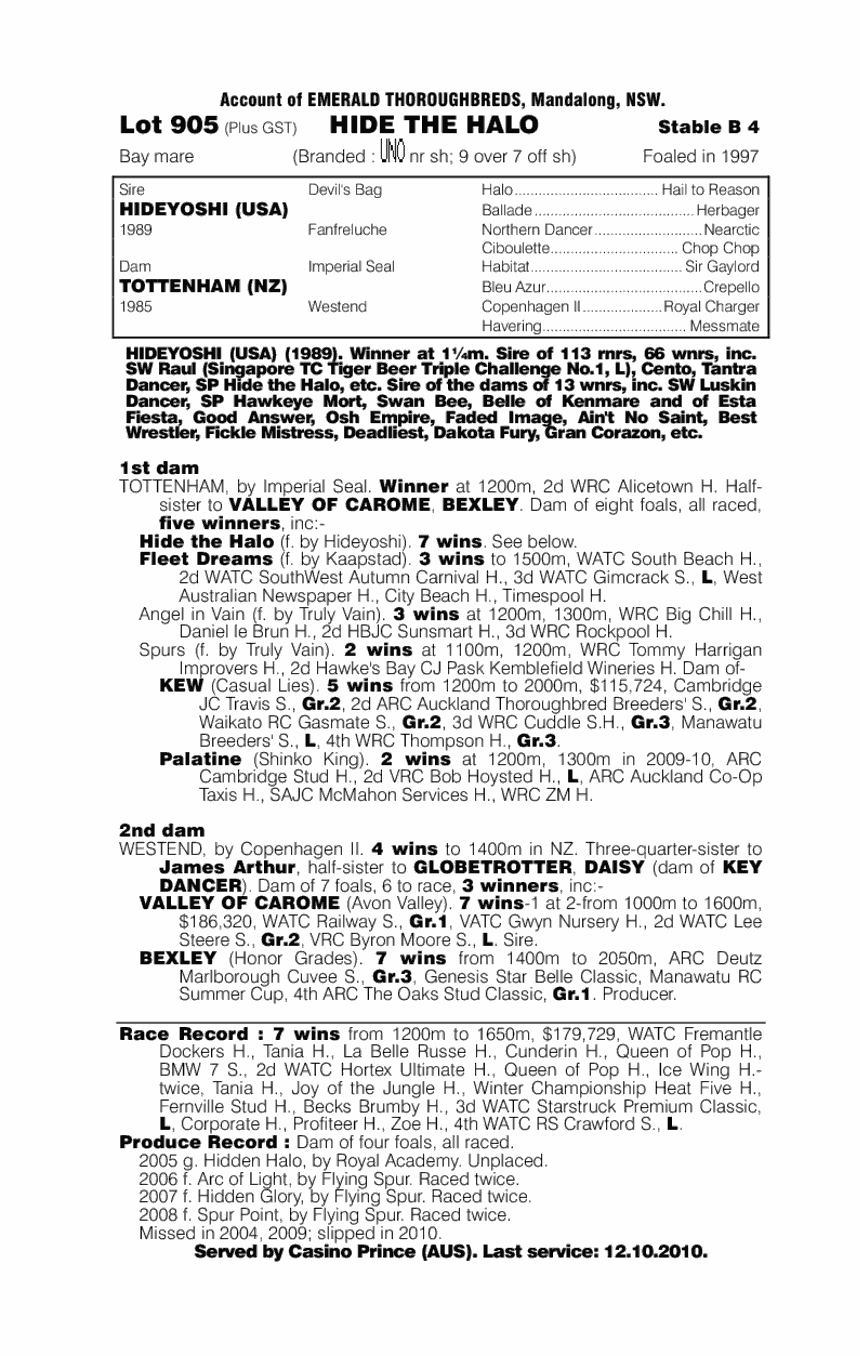 Hide The Halo - pedigree