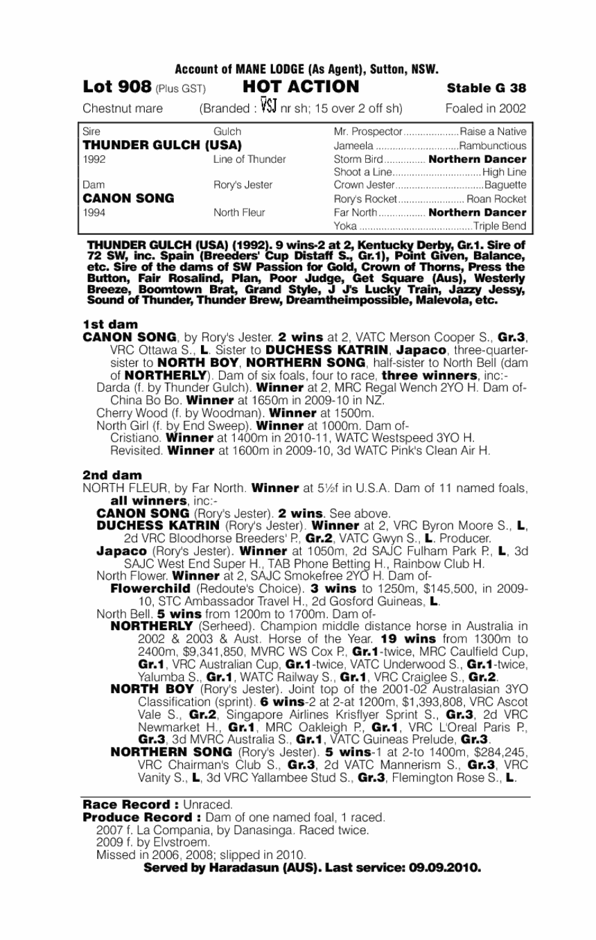 Hot Action - pedigree