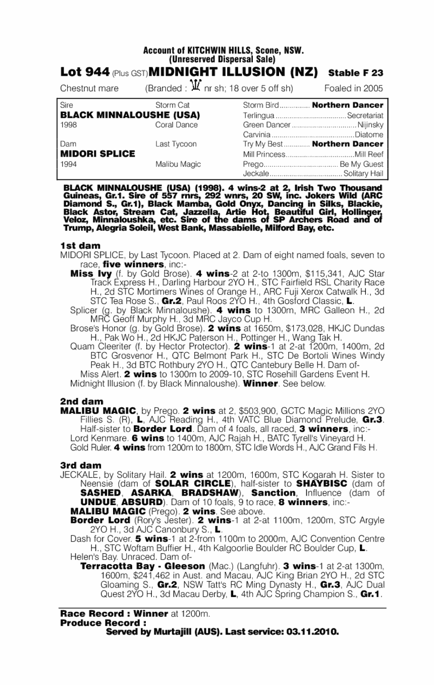Midnight Illusion (NZ) - pedigree