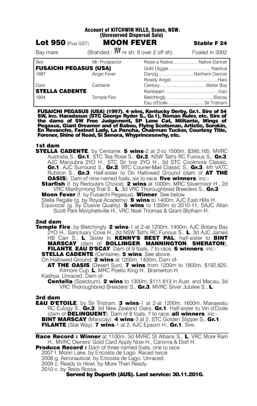 Moon Fever - pedigree