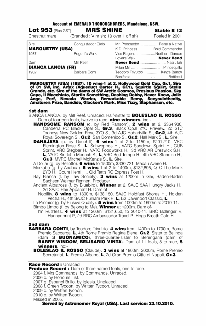 Mrs Shine - pedigree