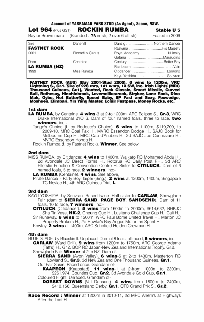 Rockin Rumba - pedigree