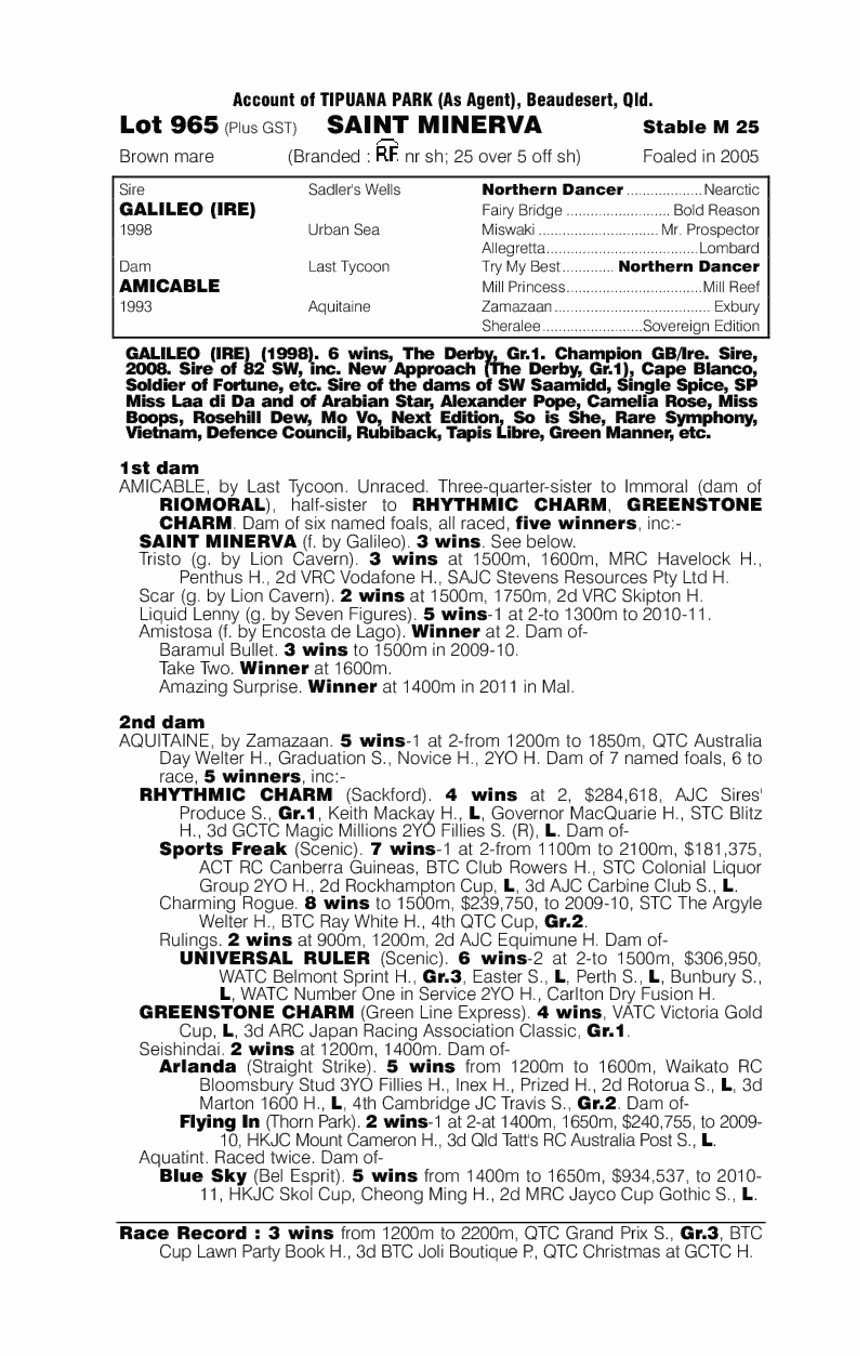 Saint Minerva - pedigree