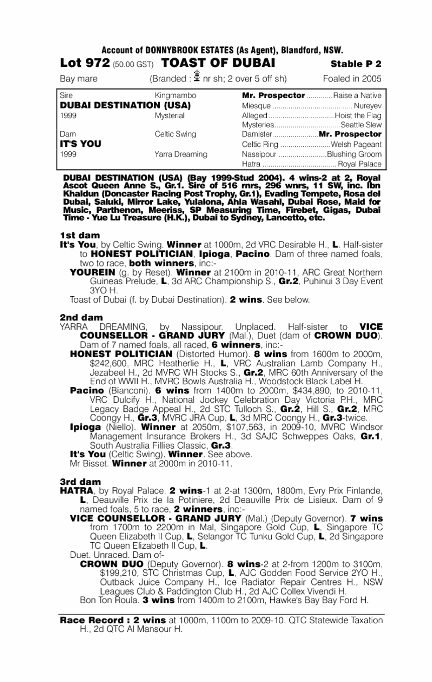 Toast Of Dubai - pedigree