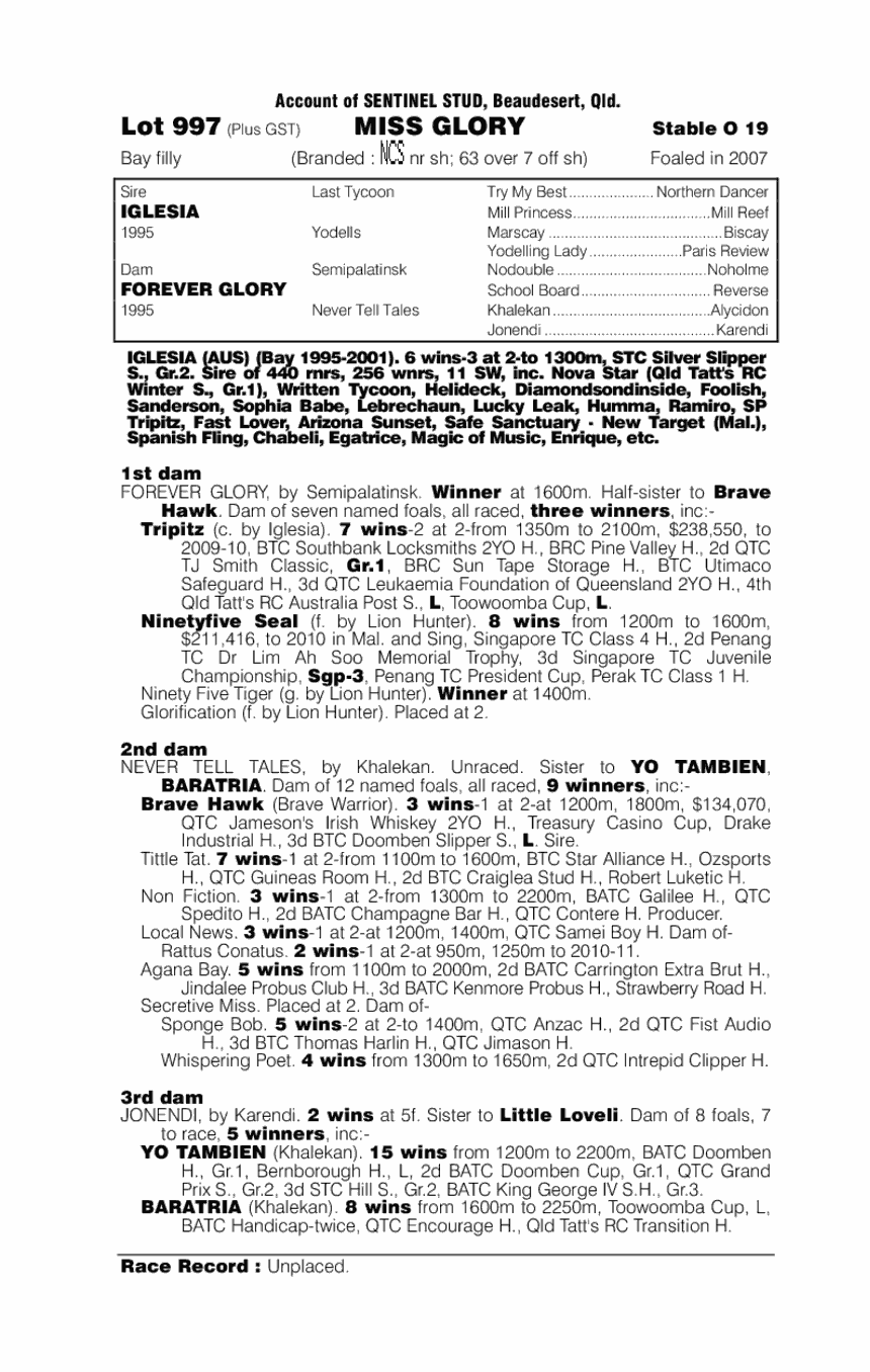 Miss Glory - pedigree