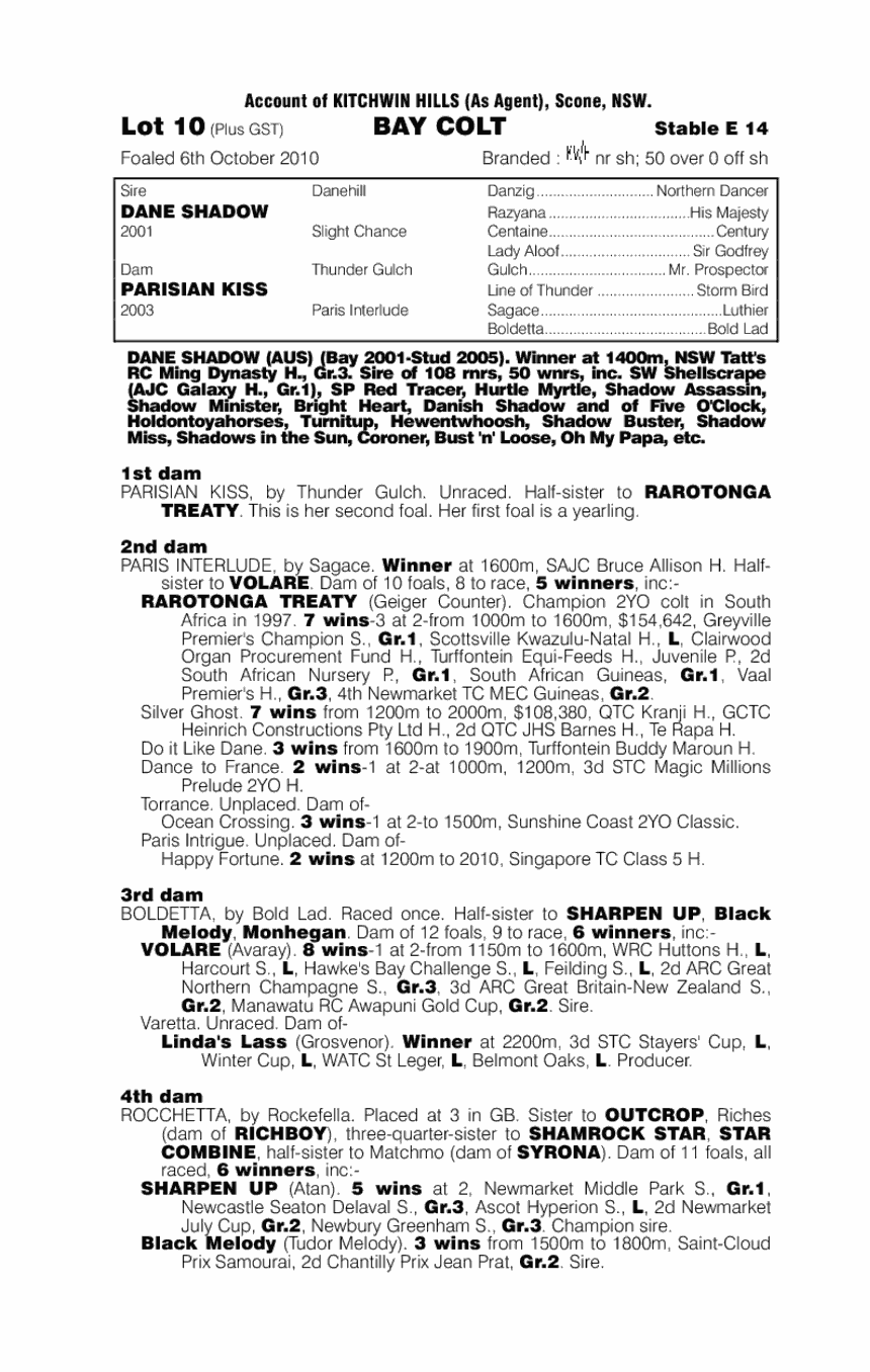 Dane's Rocket - pedigree