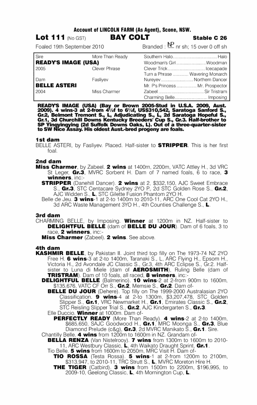 Ready's Image (USA) / Belle Asteri (AUS) - pedigree
