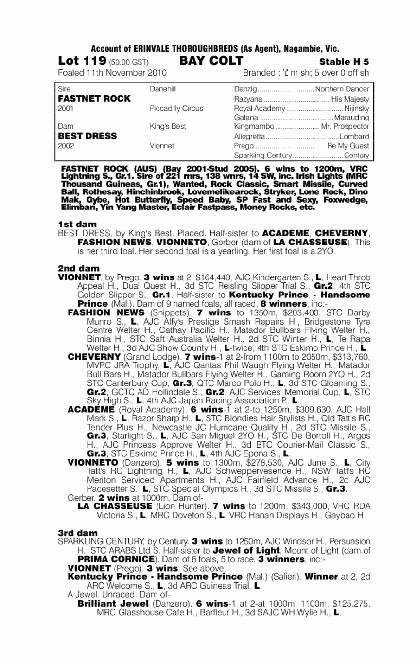 I Can Rock - pedigree