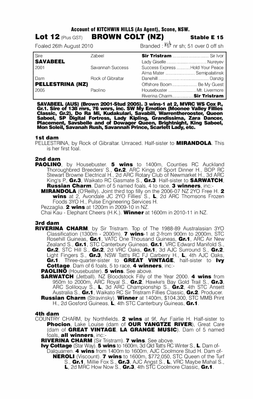 Savabeel (AUS) / Pellestrina (NZ) - pedigree