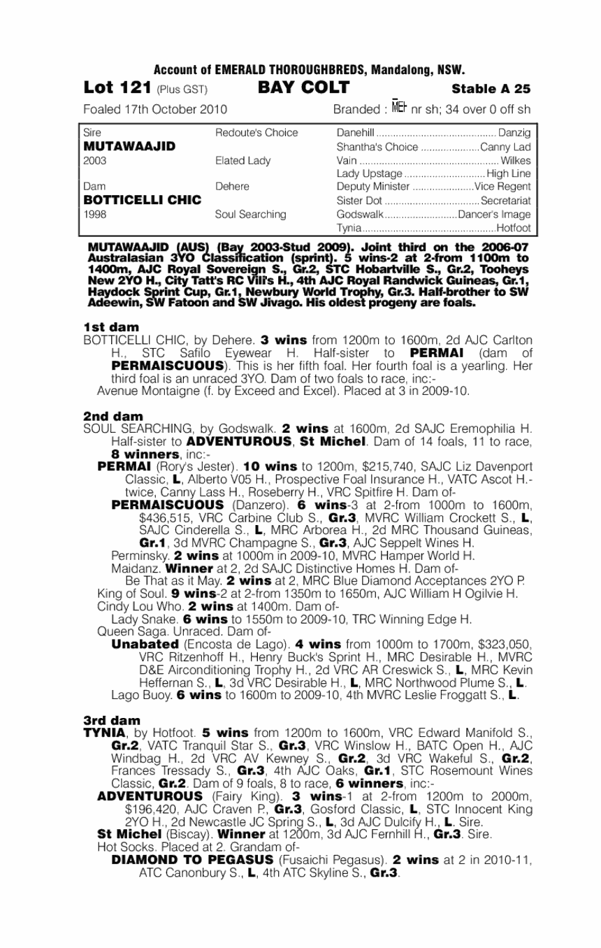 Olga's Gallery - pedigree