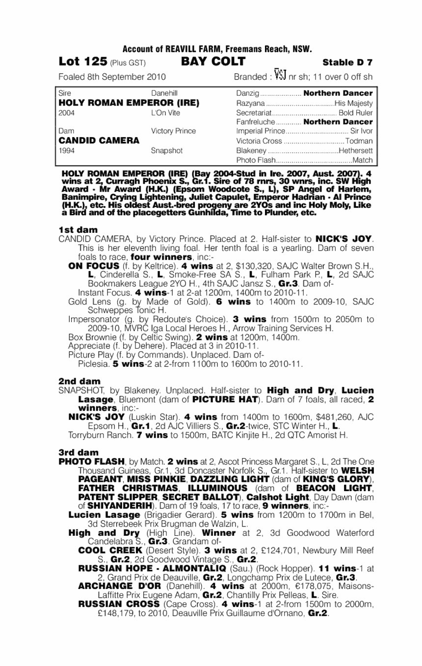 Straight Shooter - pedigree