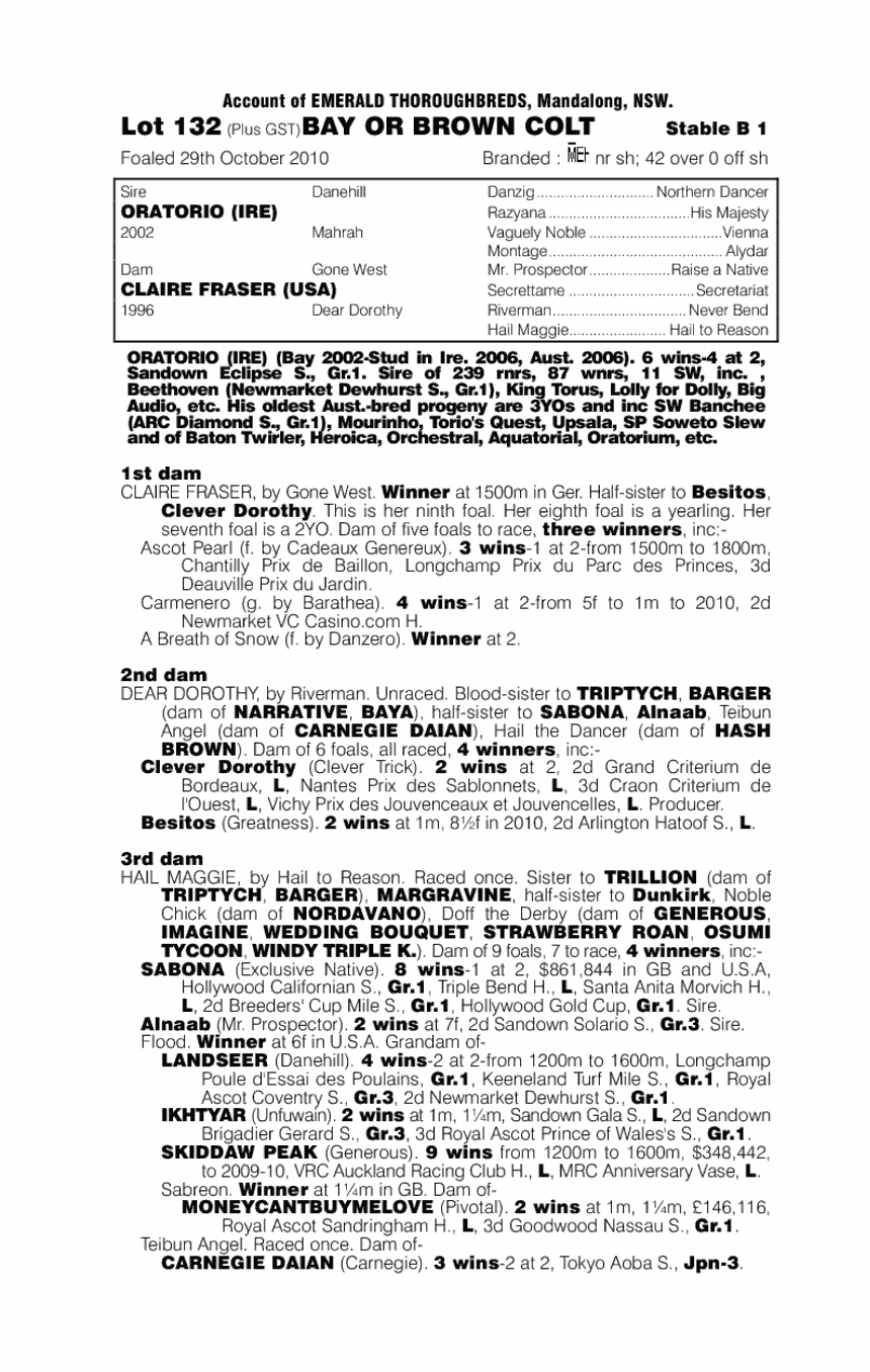 Rockatorio - pedigree