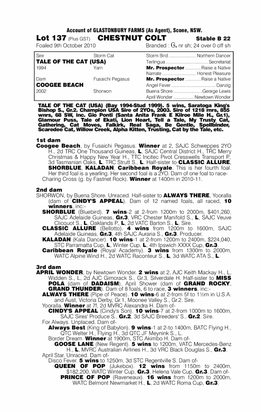 Flying Neko - pedigree