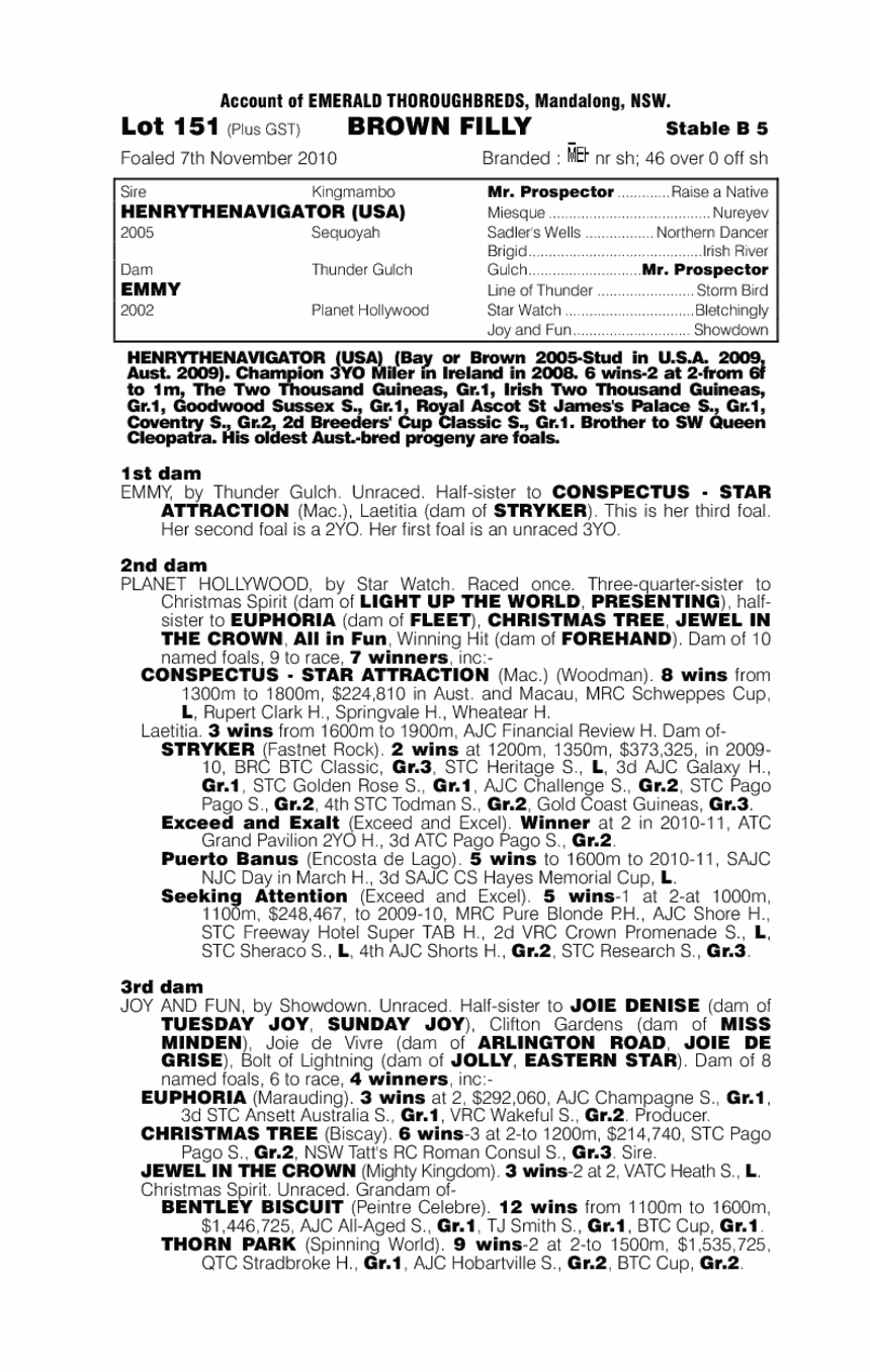 Henrythenavigator (USA) / Emmy (AUS) - pedigree