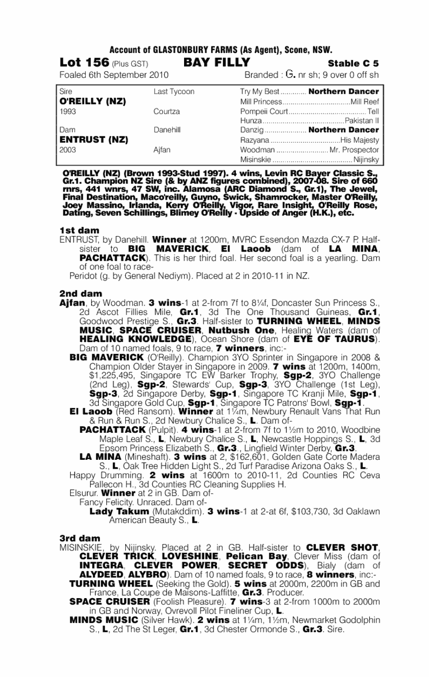 O'reilly (NZ) / Entrust (NZ) - pedigree