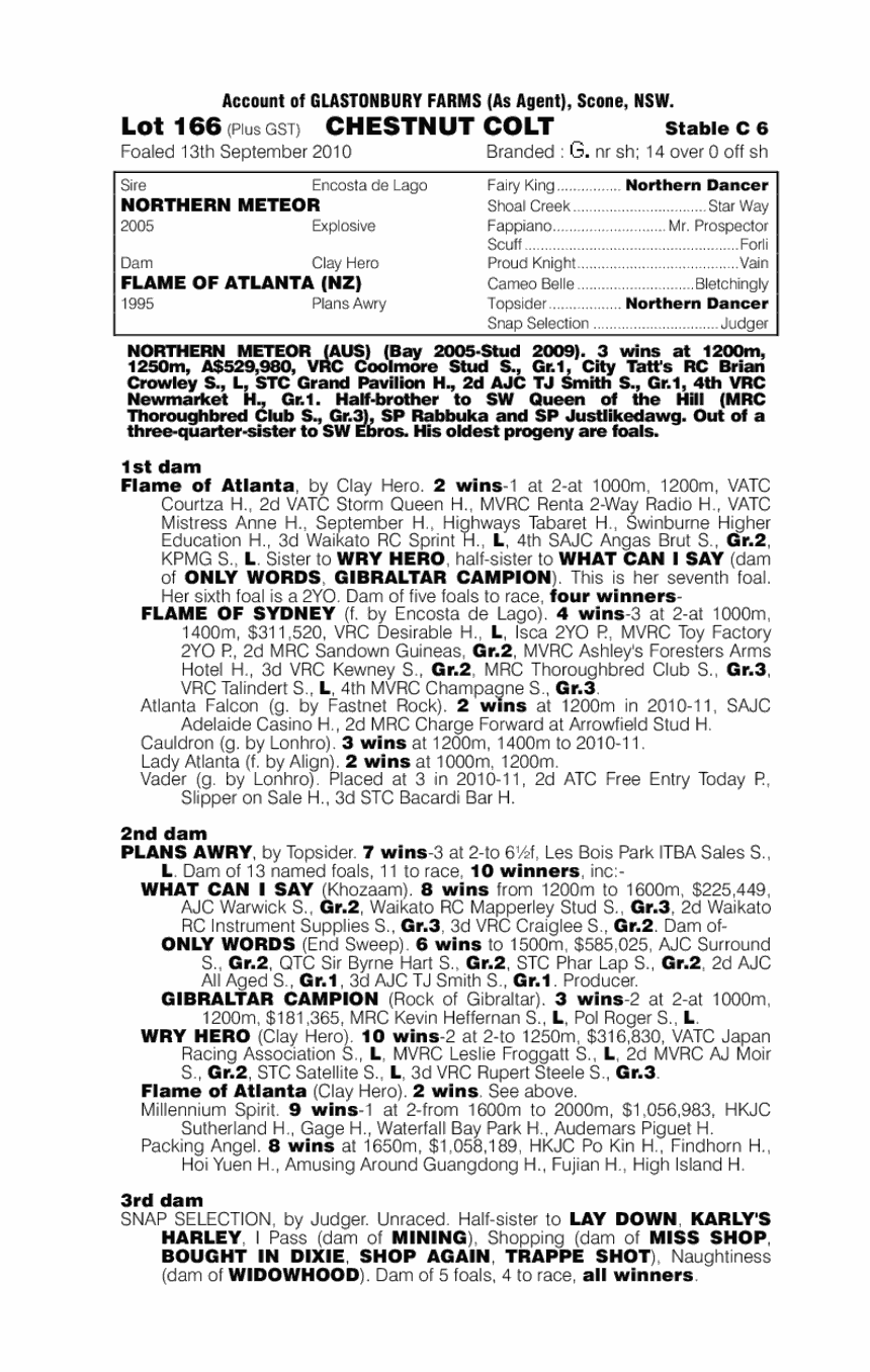 Rojo Grande (AUS) - pedigree