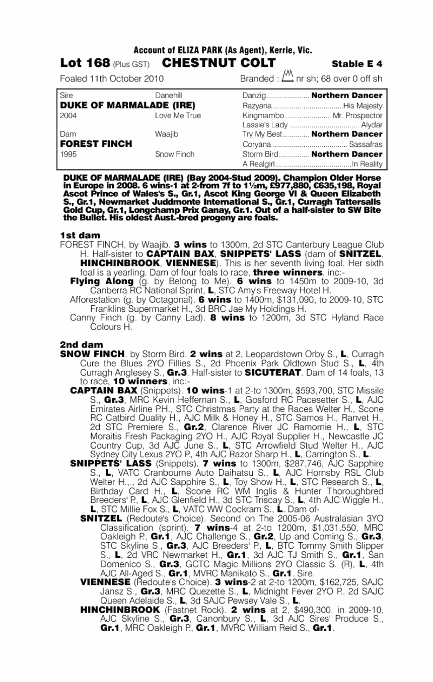 Duke Of Paddington (AUS) - pedigree