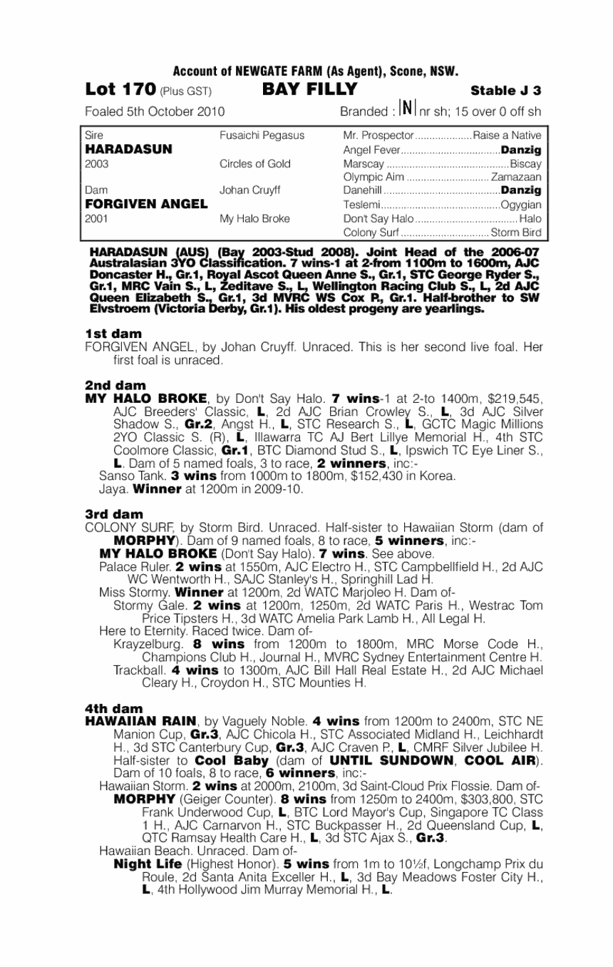 Zarada Angel (AUS) - pedigree