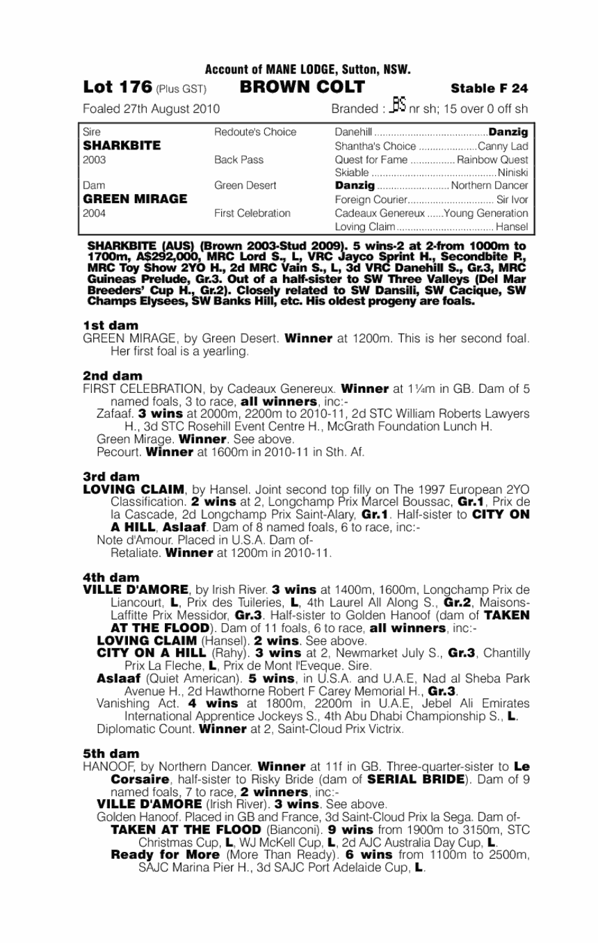 Shark Mirage - pedigree